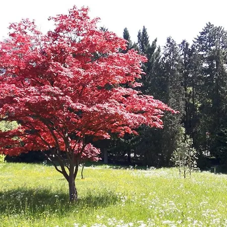 Casa Fiera Apartmán