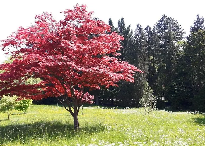 Casa Fiera Apartamento